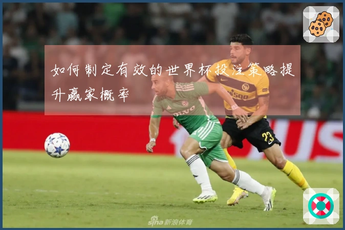如何制定有效的世界杯投注策略提升赢家概率