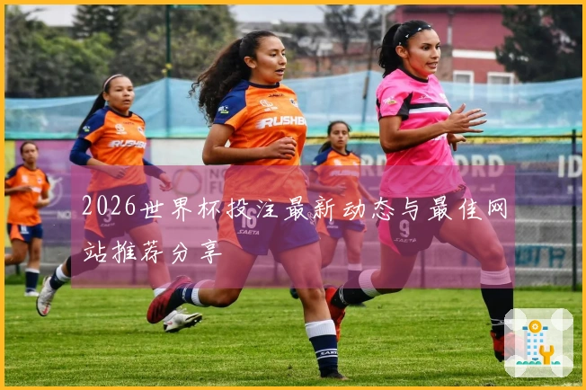 2026世界杯投注最新动态与最佳网站推荐分享