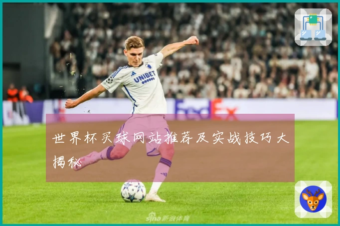 世界杯买球网站推荐及实战技巧大揭秘